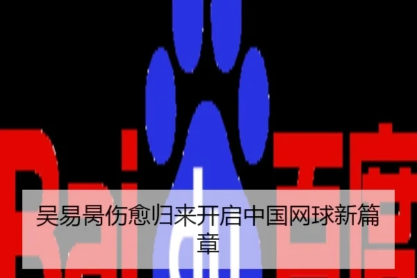 吴易昺伤愈归来开启中国网球新篇章